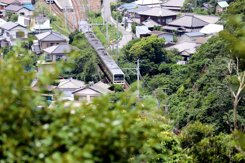 green trees near houses during daytime