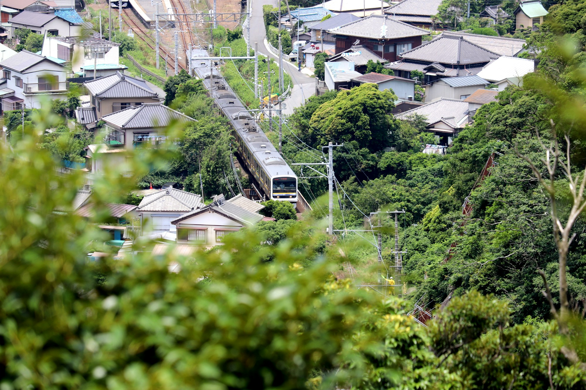Chiba: Ideal Weather & Months to Visit - Ultimate Guide