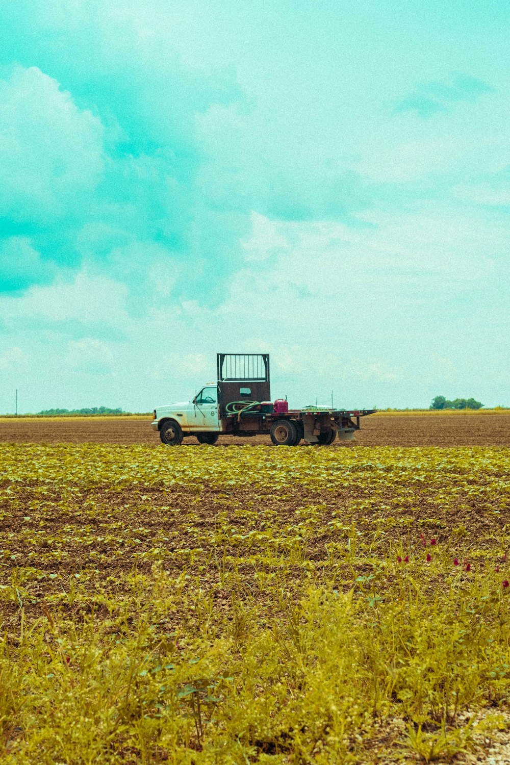 blue and white tractor on green grass field under blue sky during daytime