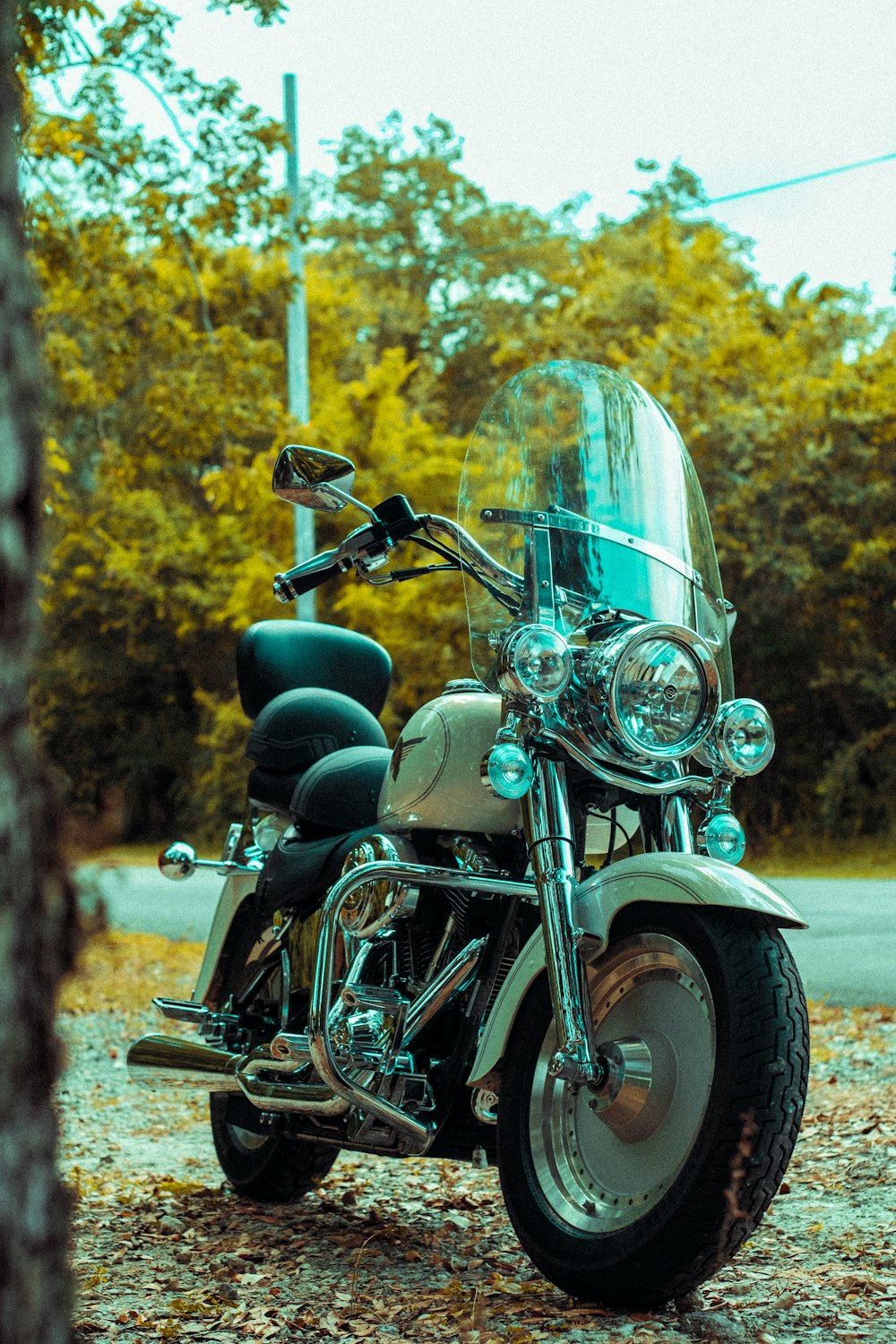 black and silver cruiser motorcycle