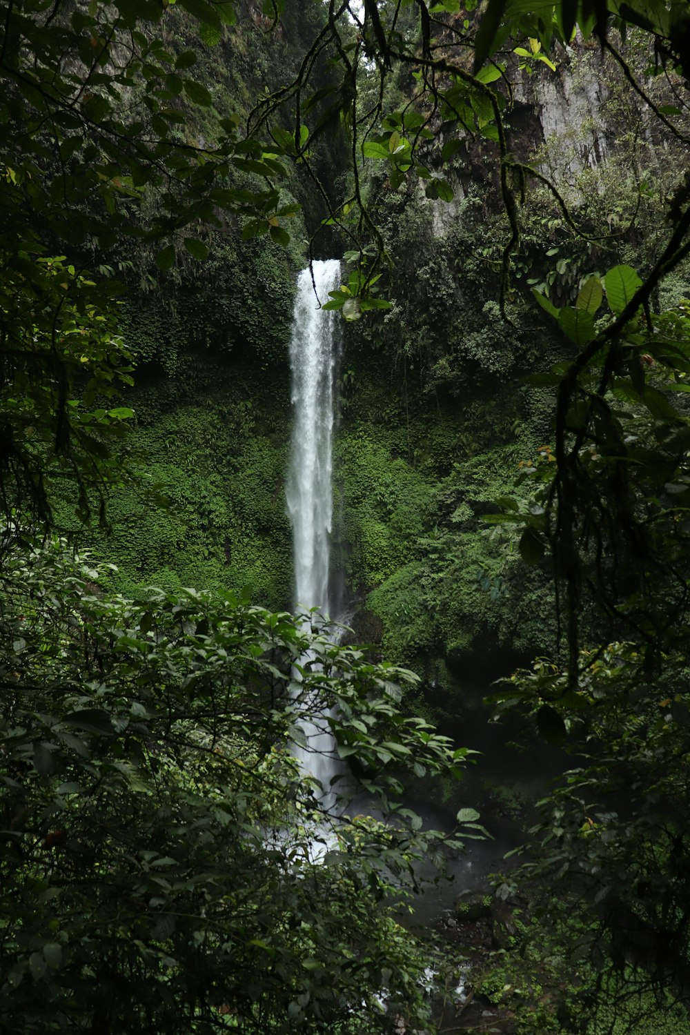 Cascadas en medio del bosque