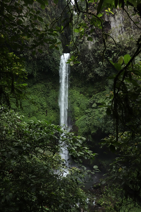 waterfalls in the middle of the forest in Batang Indonesia