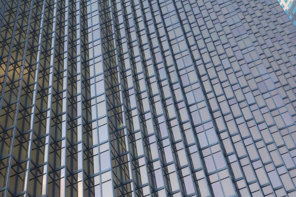 black and white glass building