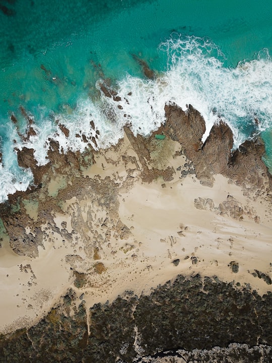 aerial view of beach during daytime in Western Australia Australia