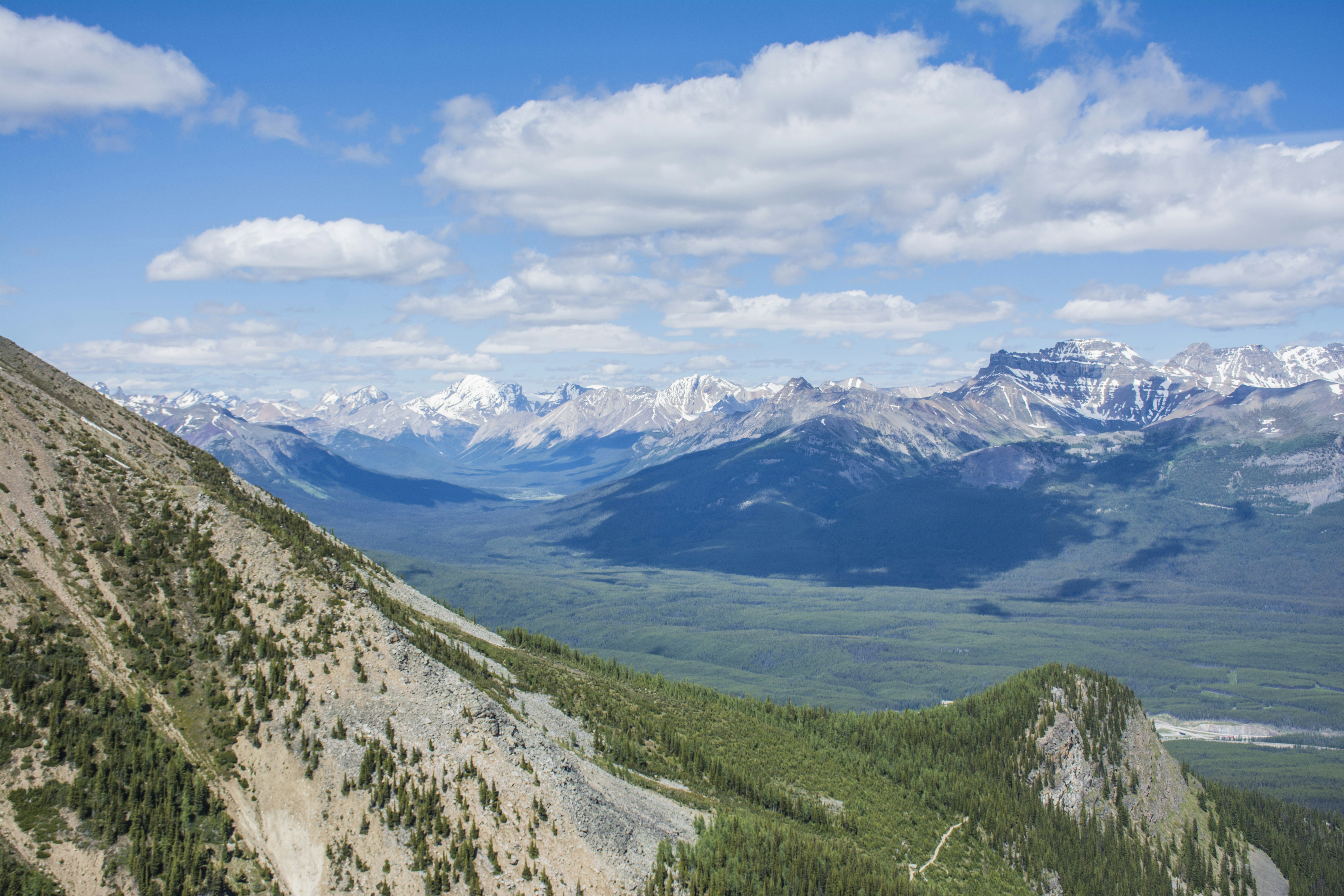 Photo by sharissajohnson