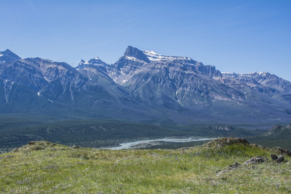 green grass field near snow covered mountain during daytime