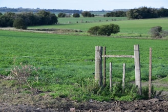 A sturdy galvanized fence enclosing a lush green farm under a clear blue sky.