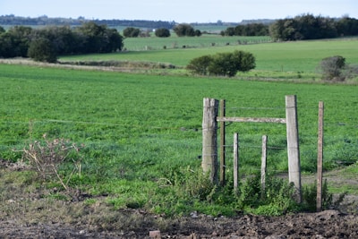 A sturdy galvanized fence enclosing a lush green farm under a clear blue sky.