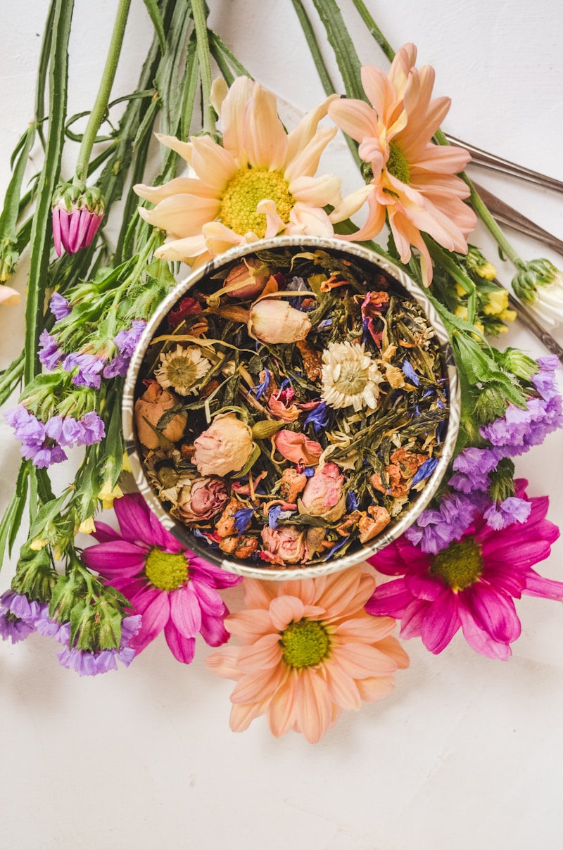 Beautiful medicinal herbs collection