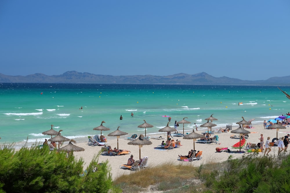 personnes sur la plage pendant la journée