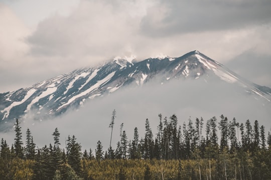 snow covered mountain during daytime in Smithers Canada