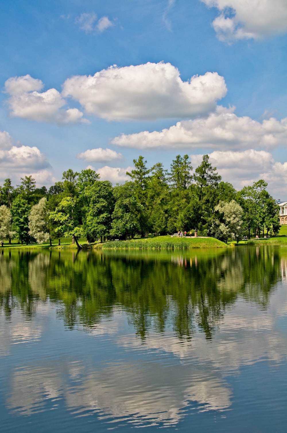 green trees beside river under white clouds and blue sky during daytime