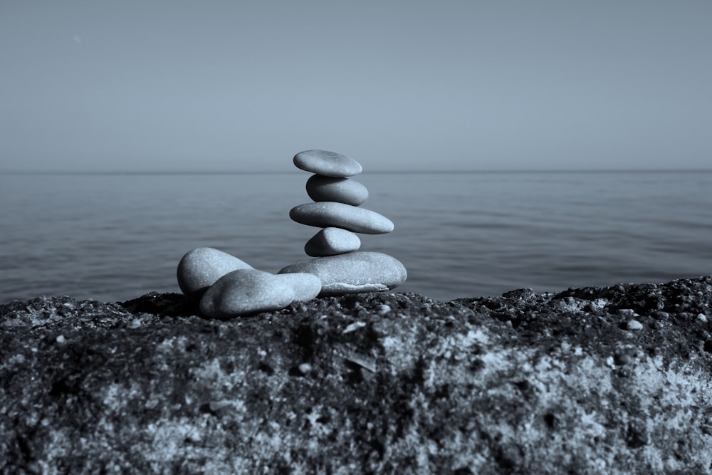 gray and white stone on gray rock near body of water