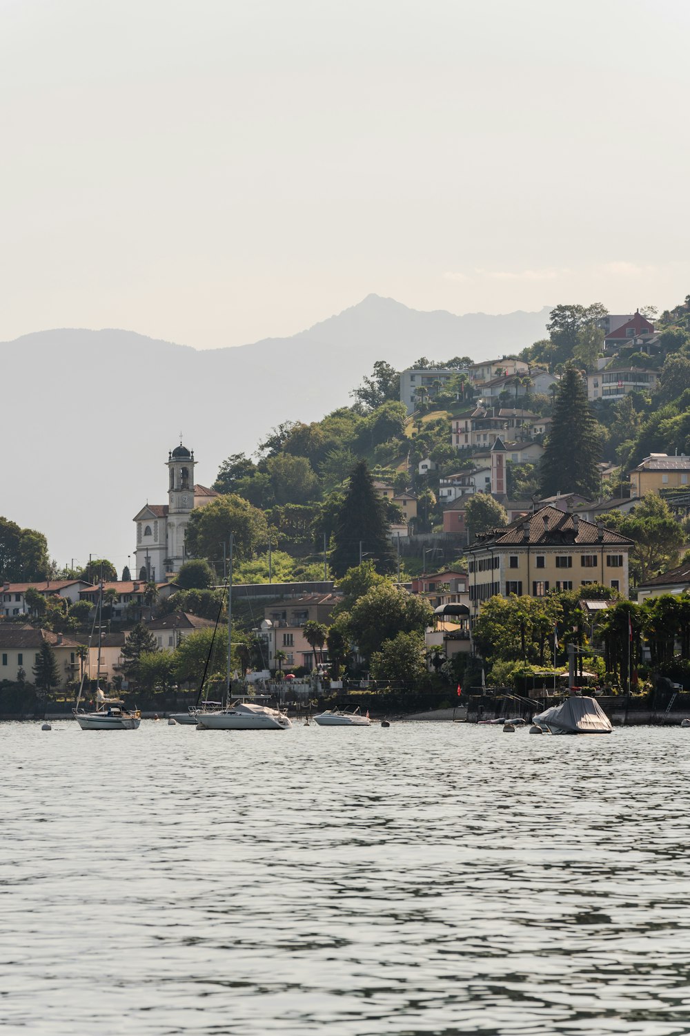 white boat on body of water near green trees during daytime