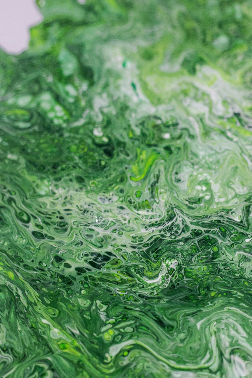 gotas de agua en la planta verde