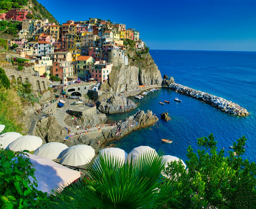 Visit the town of Manarola
