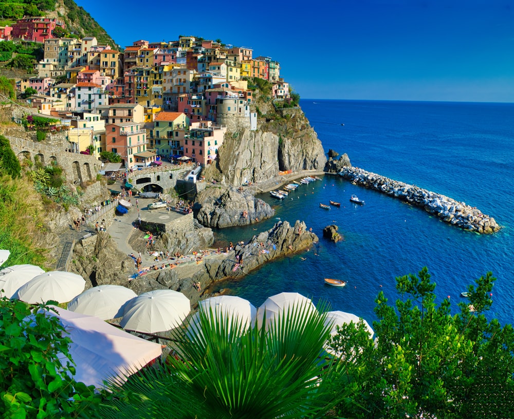 houses on cliff near body of water during daytime