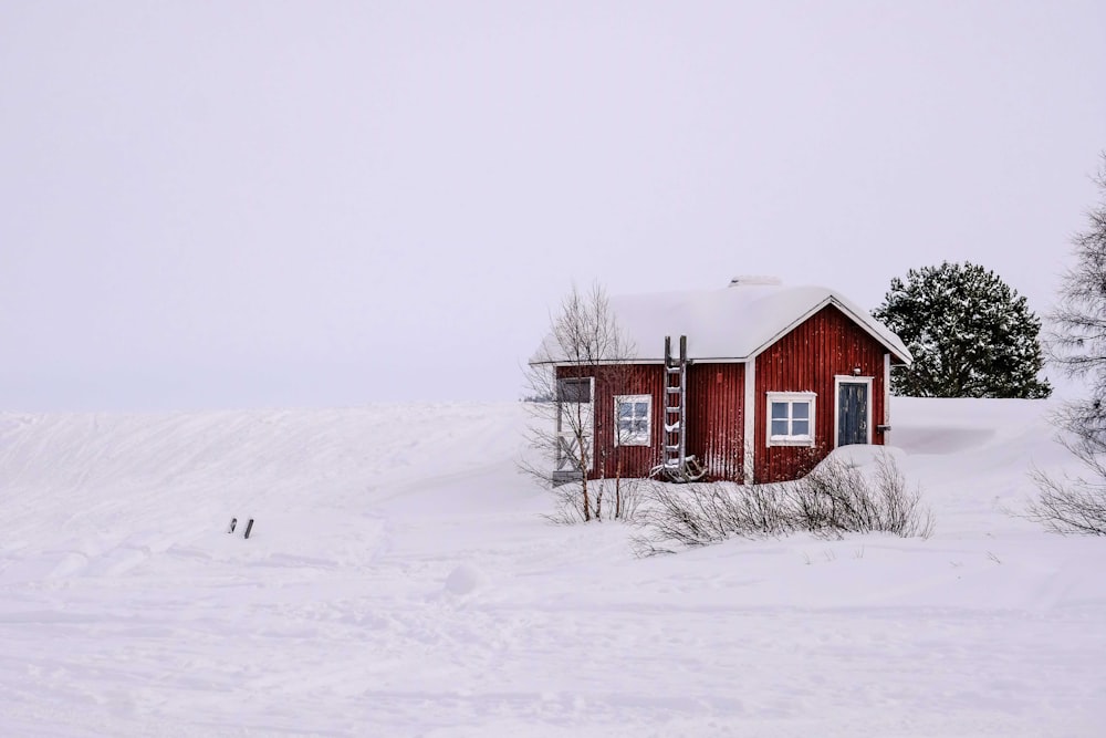 brown wooden house on snow covered ground