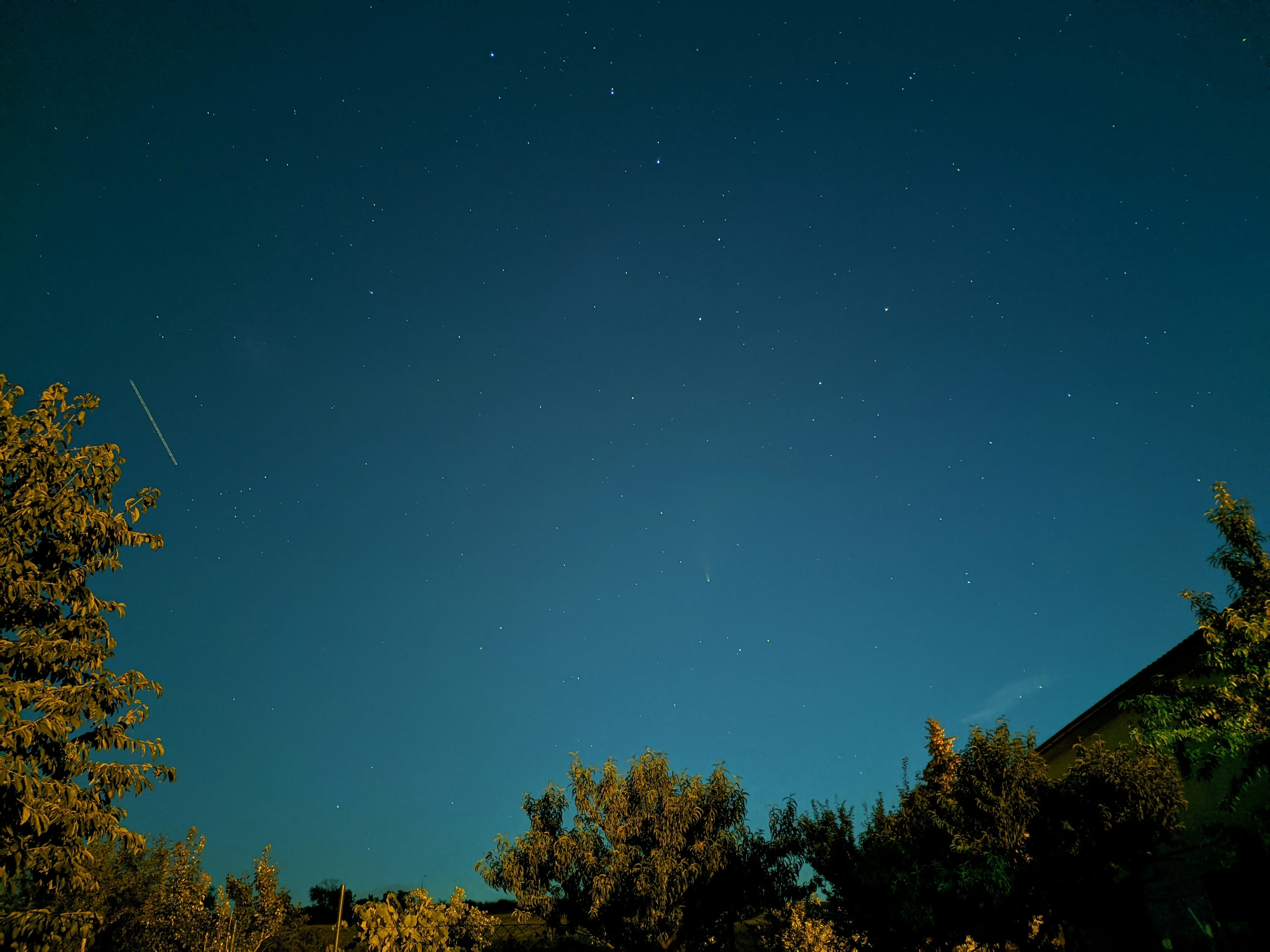 Photo by mcaniga