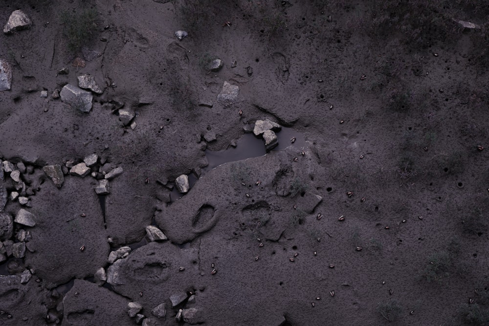 sabbia grigia con pietre a forma di cuore