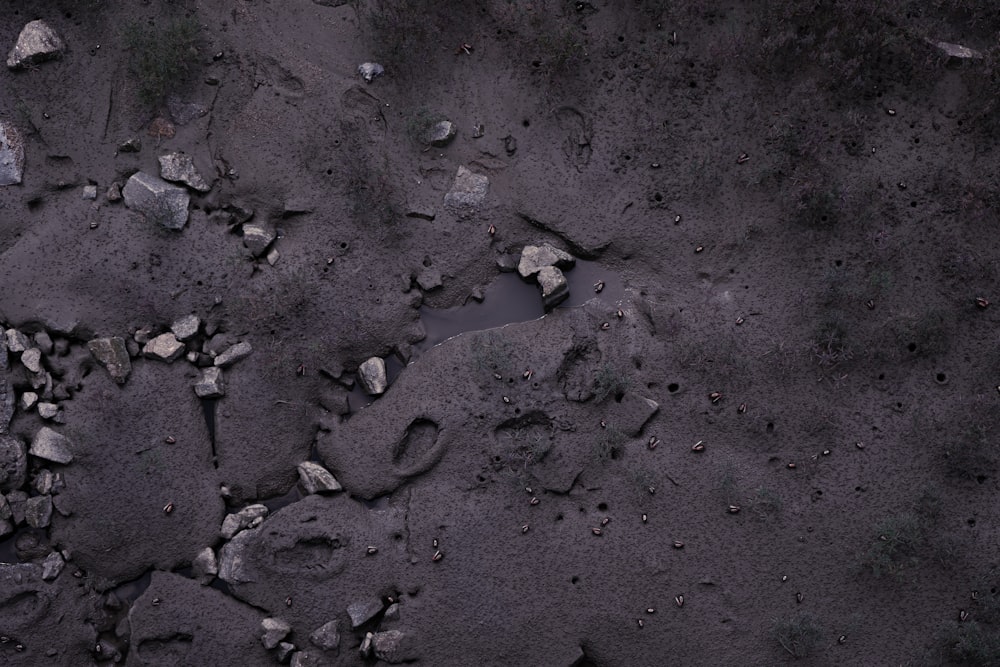 gray sand with heart shaped stones