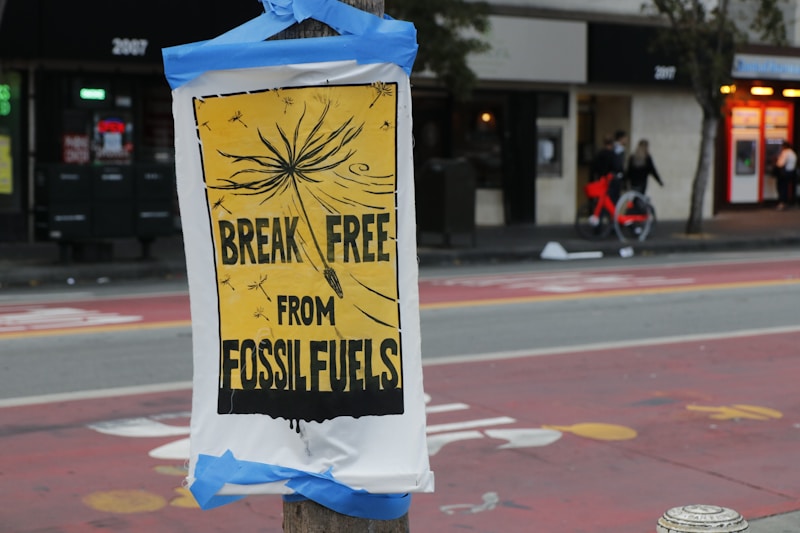 Activism