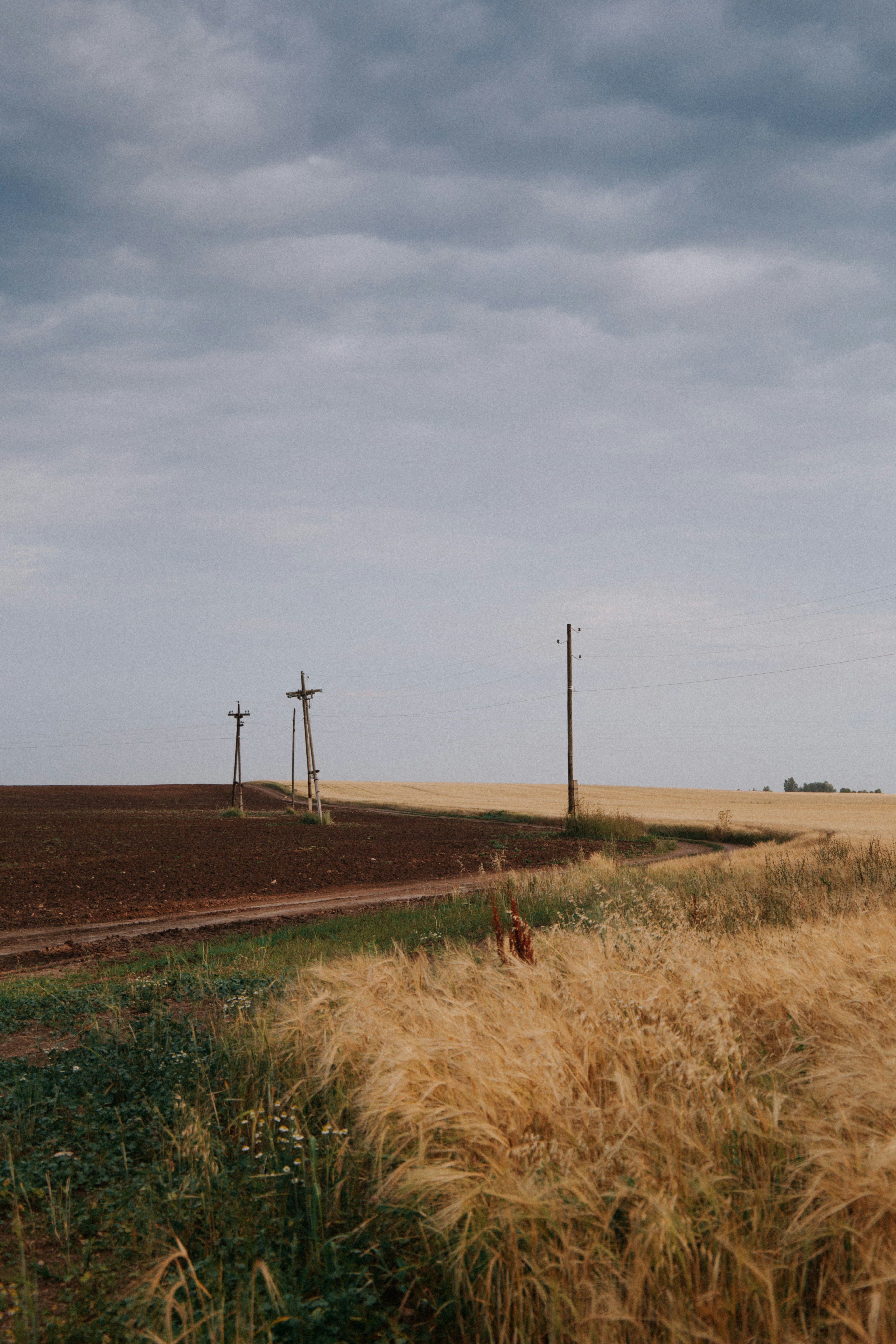 brown grass field near wind turbines under gray sky