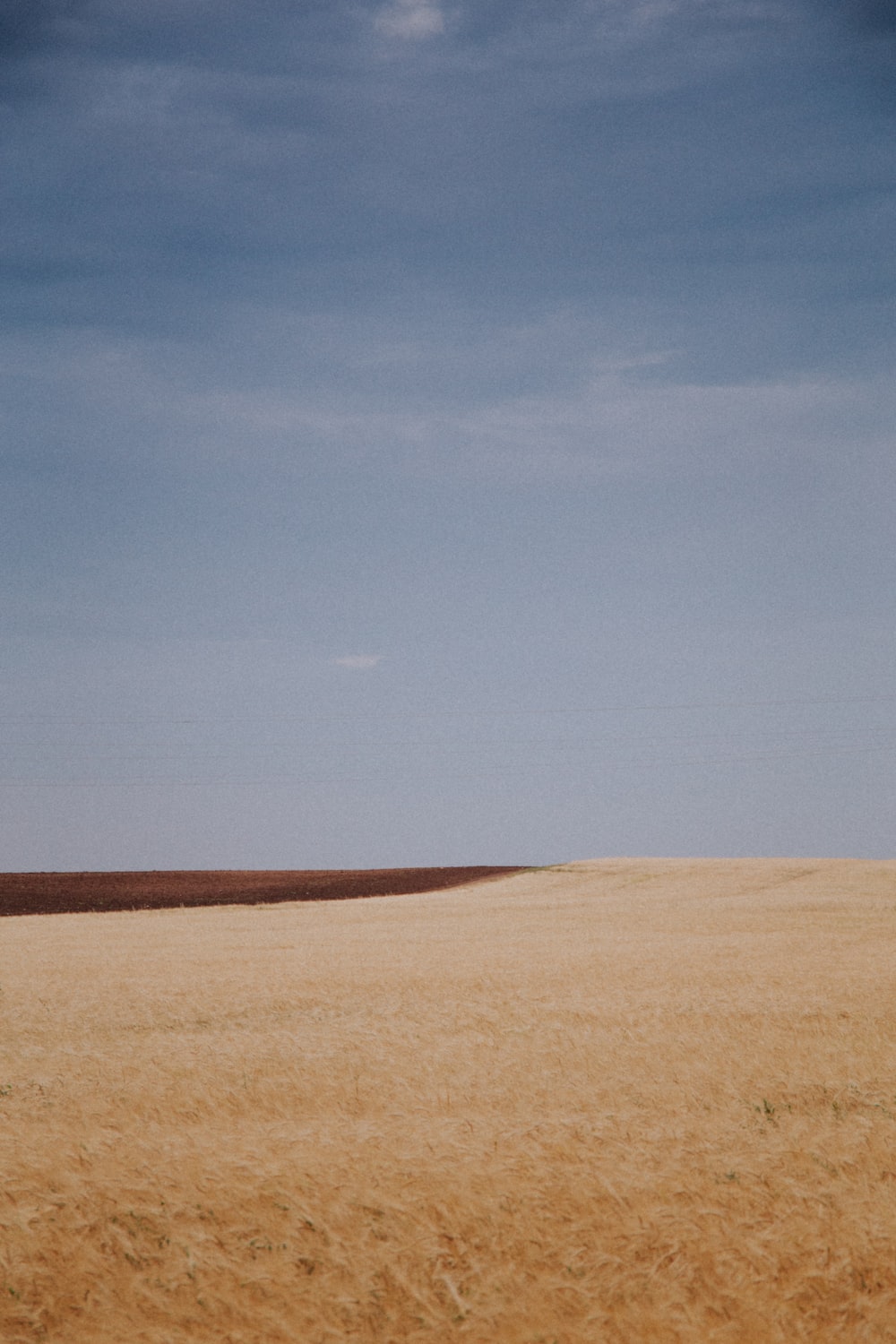 brown field under blue sky during daytime