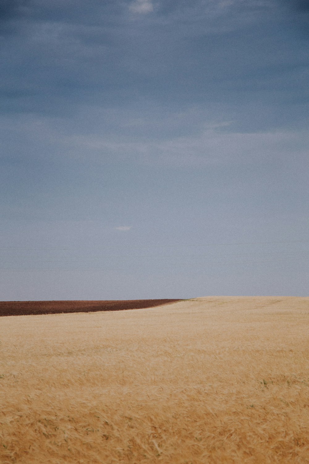 brown field under blue sky during daytime