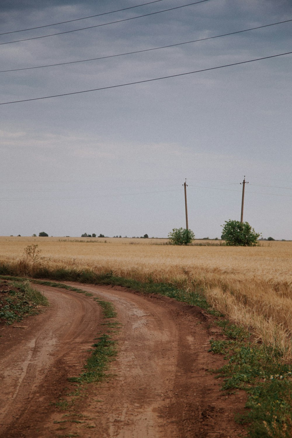 brown dirt road between green grass field under white sky during daytime