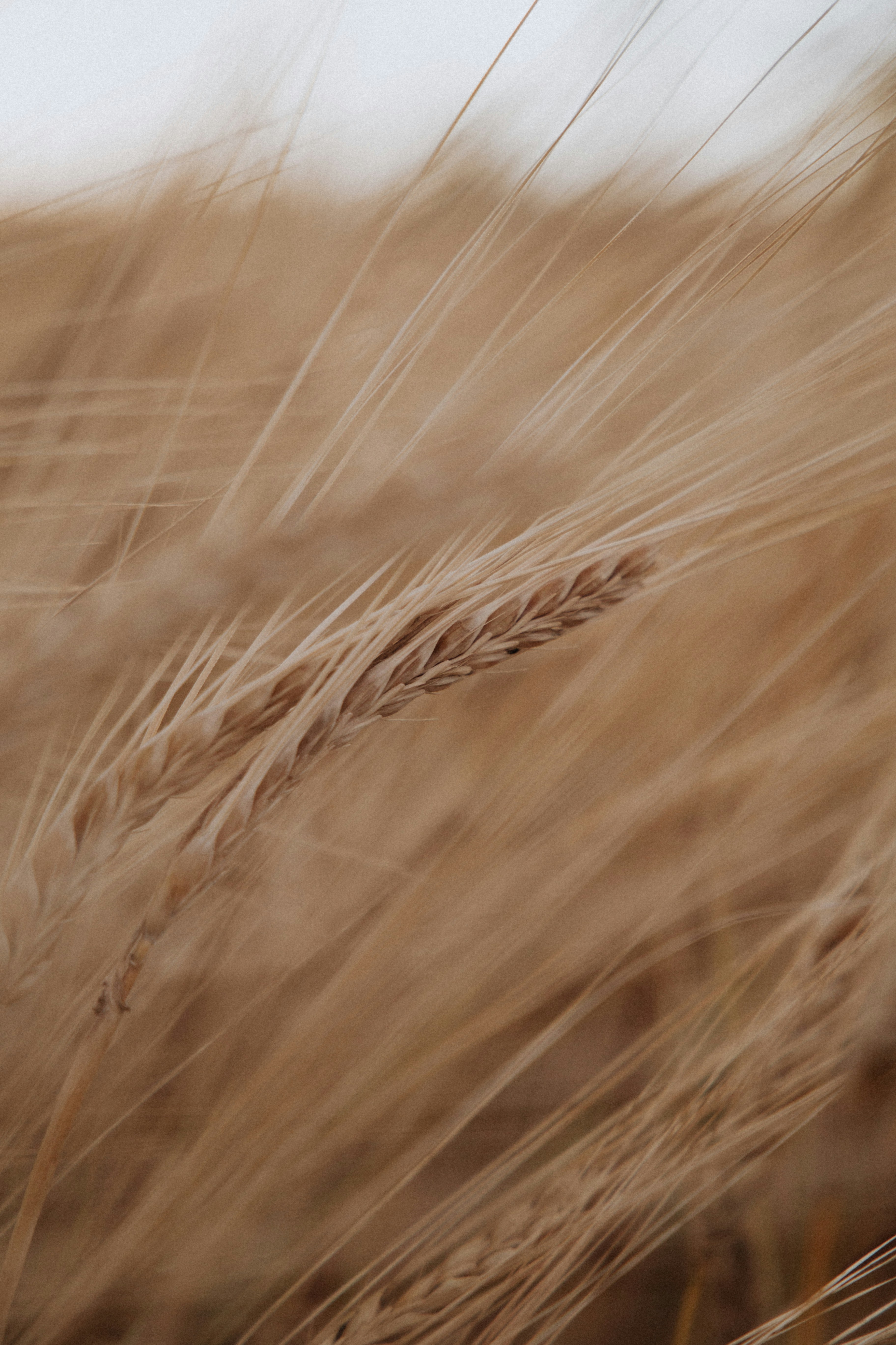 Epistemic Injustice: When Social Power Corrupts Knowledge