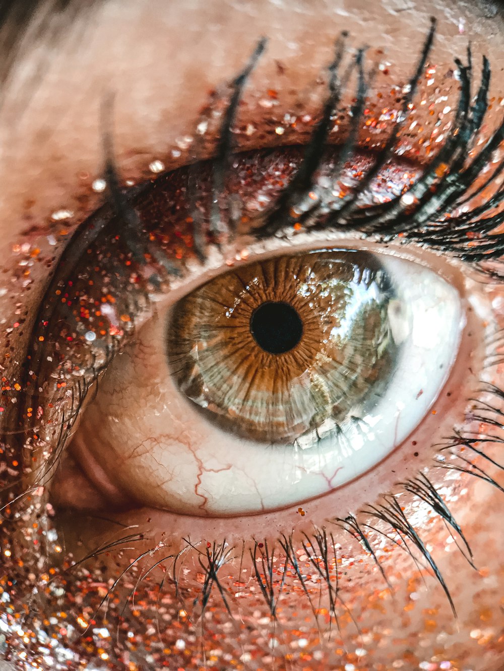human eye in close up photography