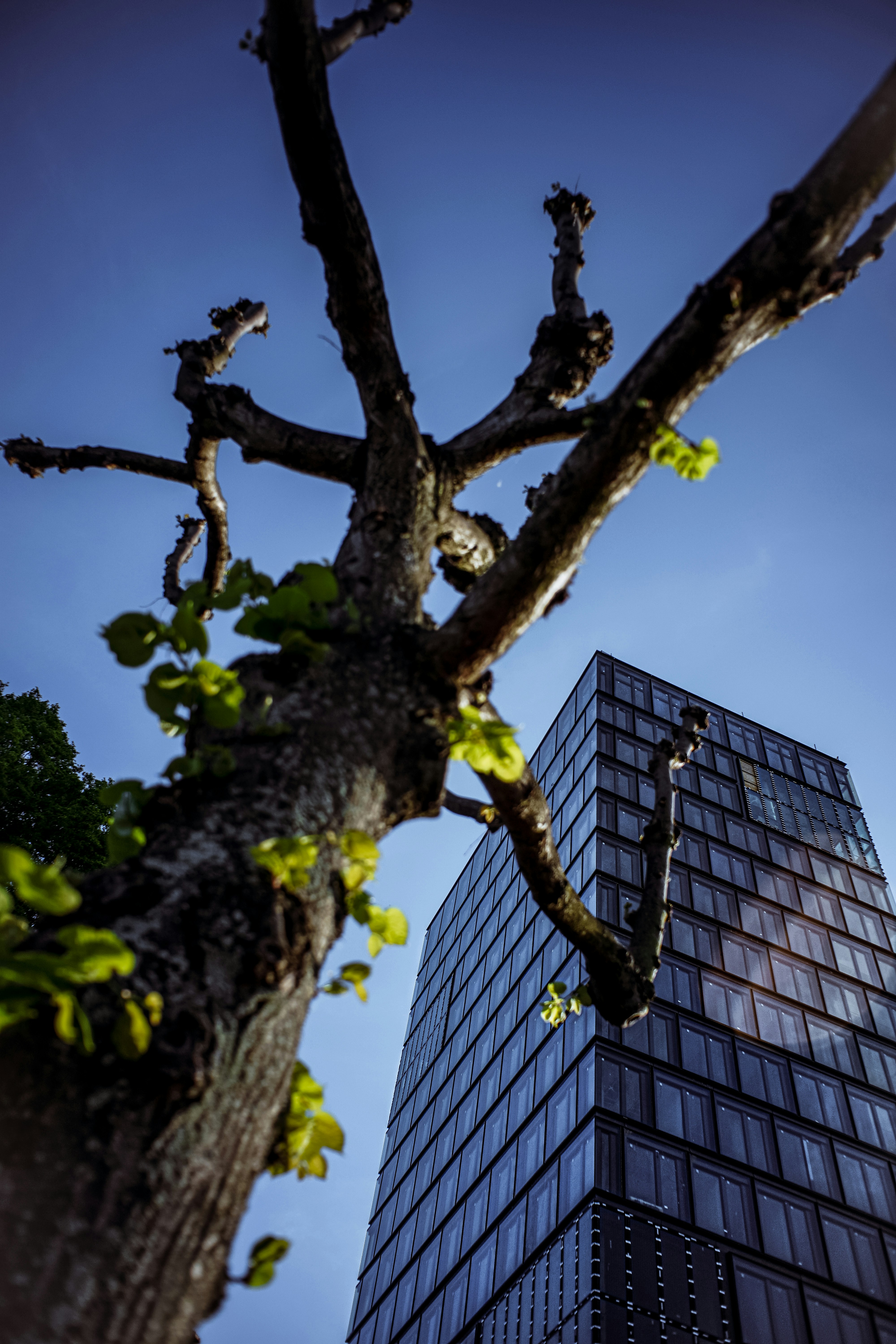 Photo by timaesthetic