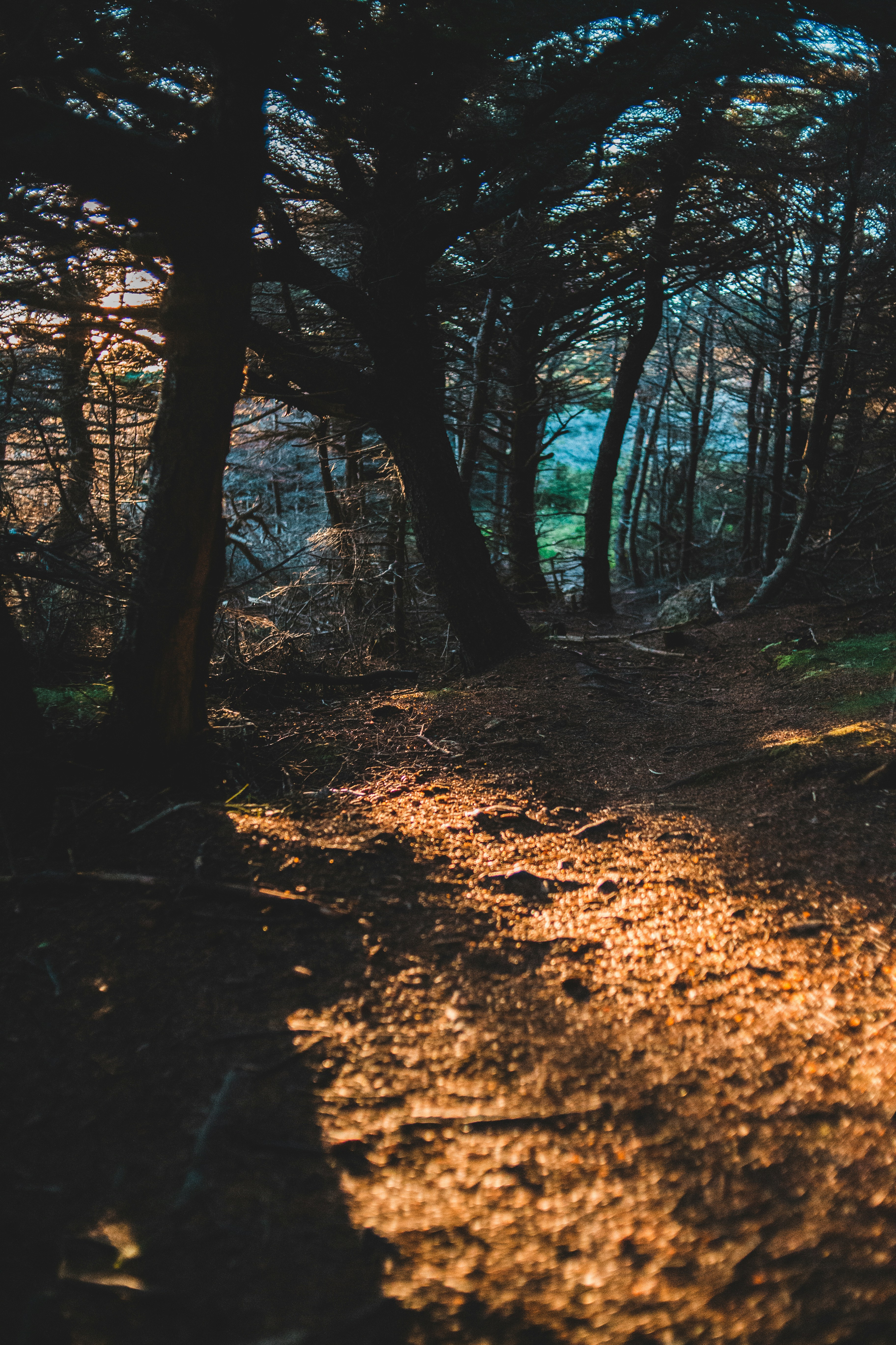 Photo by introspectivedsgn