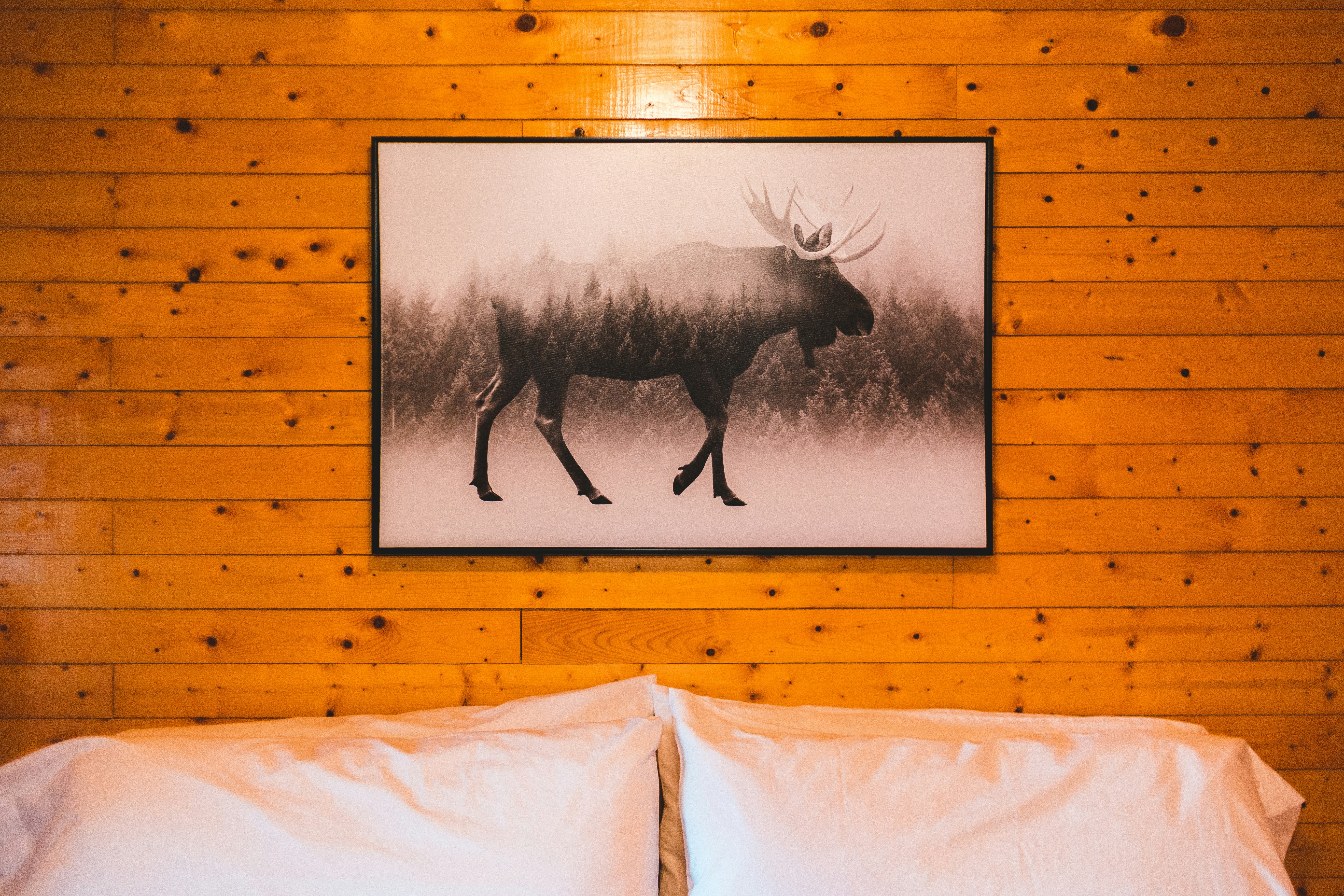 8 Adventure Hotels Near Wildlife Watching Areas