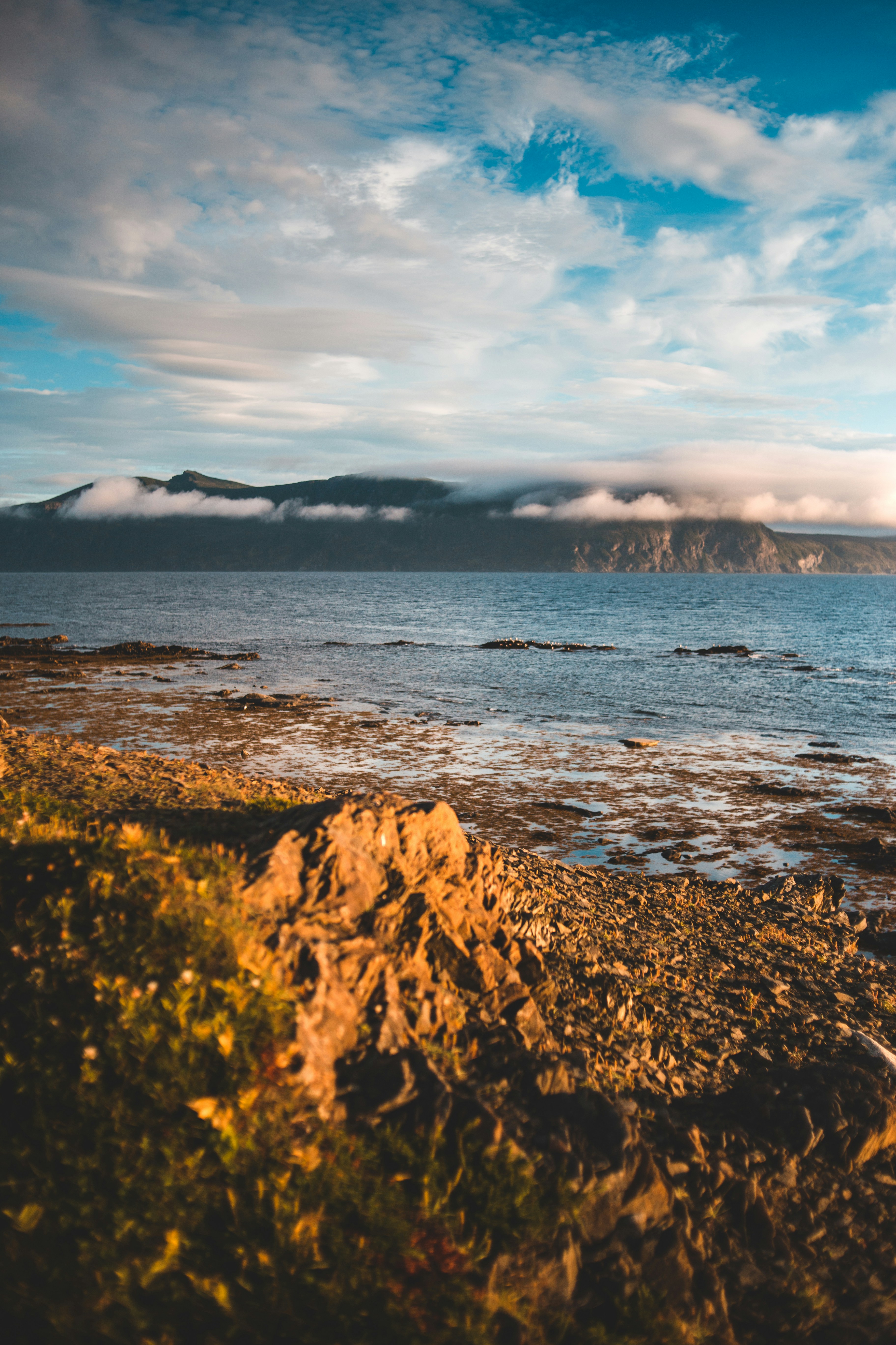 Photo by introspectivedsgn