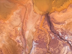 brown and white abstract painting