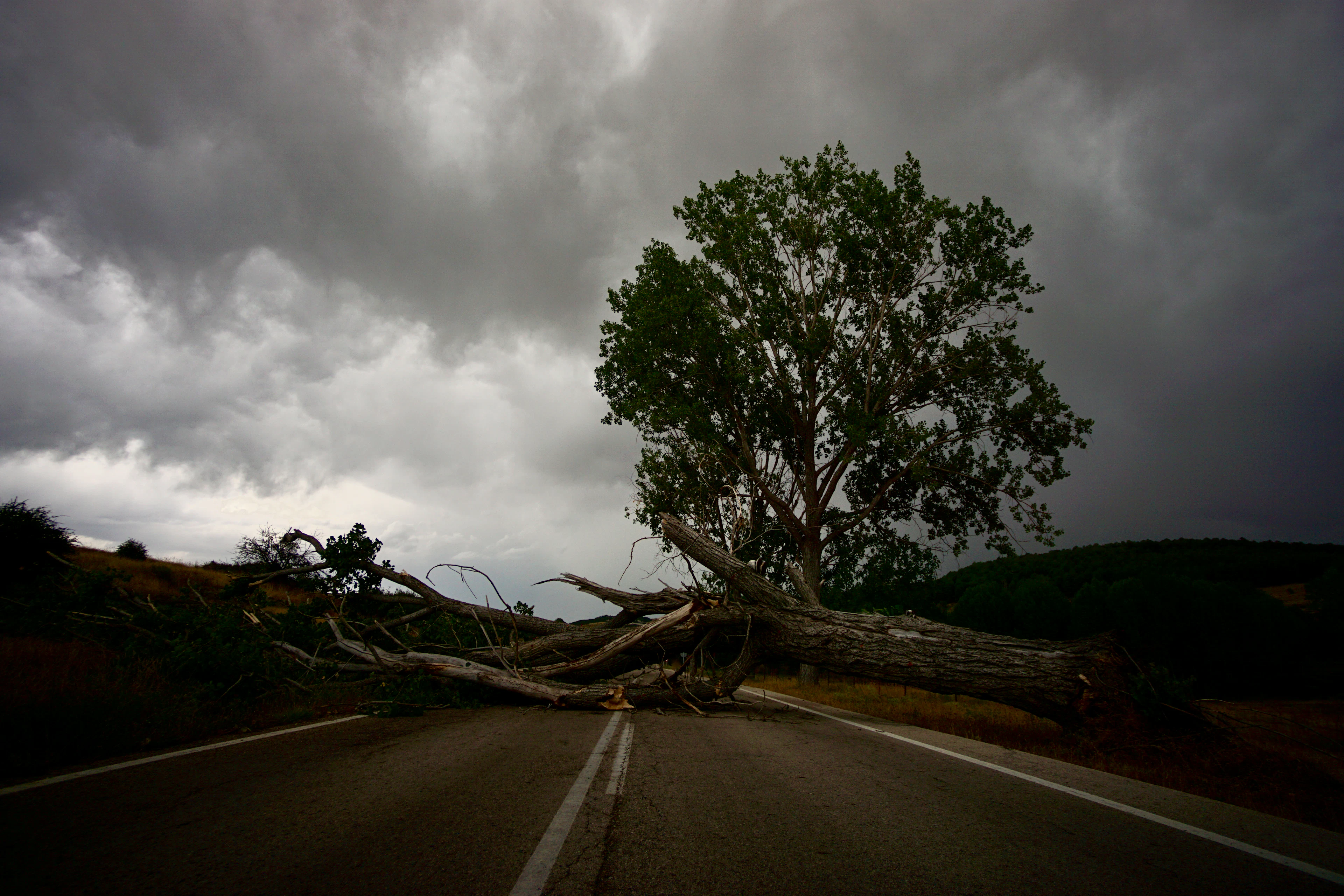 Storm Cleanup in Four Oaks, NC