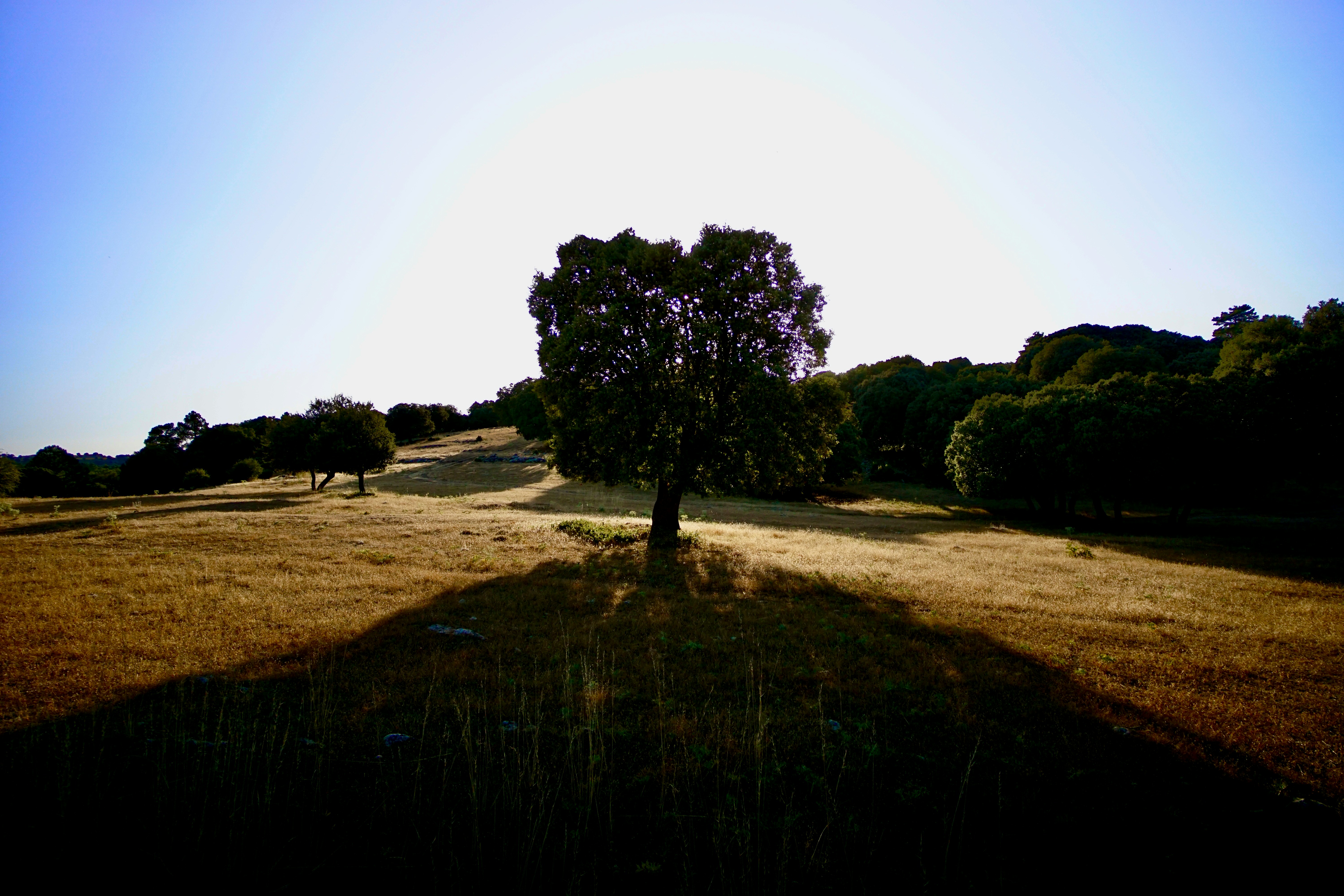 Photo by quickps