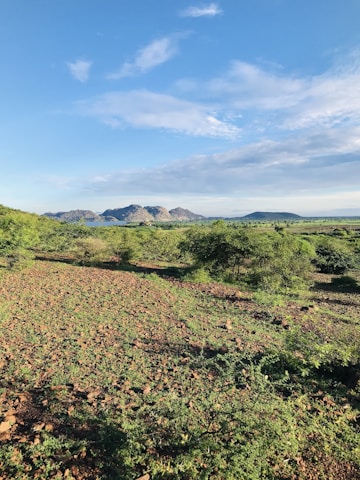 A scenic view of vacant land available for sale.