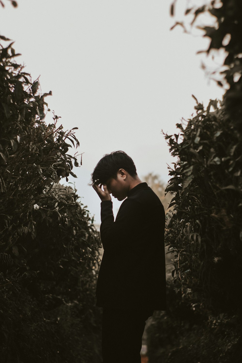 man in black suit standing near green plants during daytime
