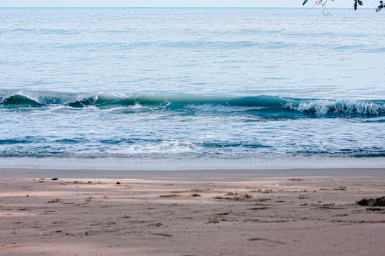 sea waves crashing on shore during daytime in Teluk Kumbar Malaysia