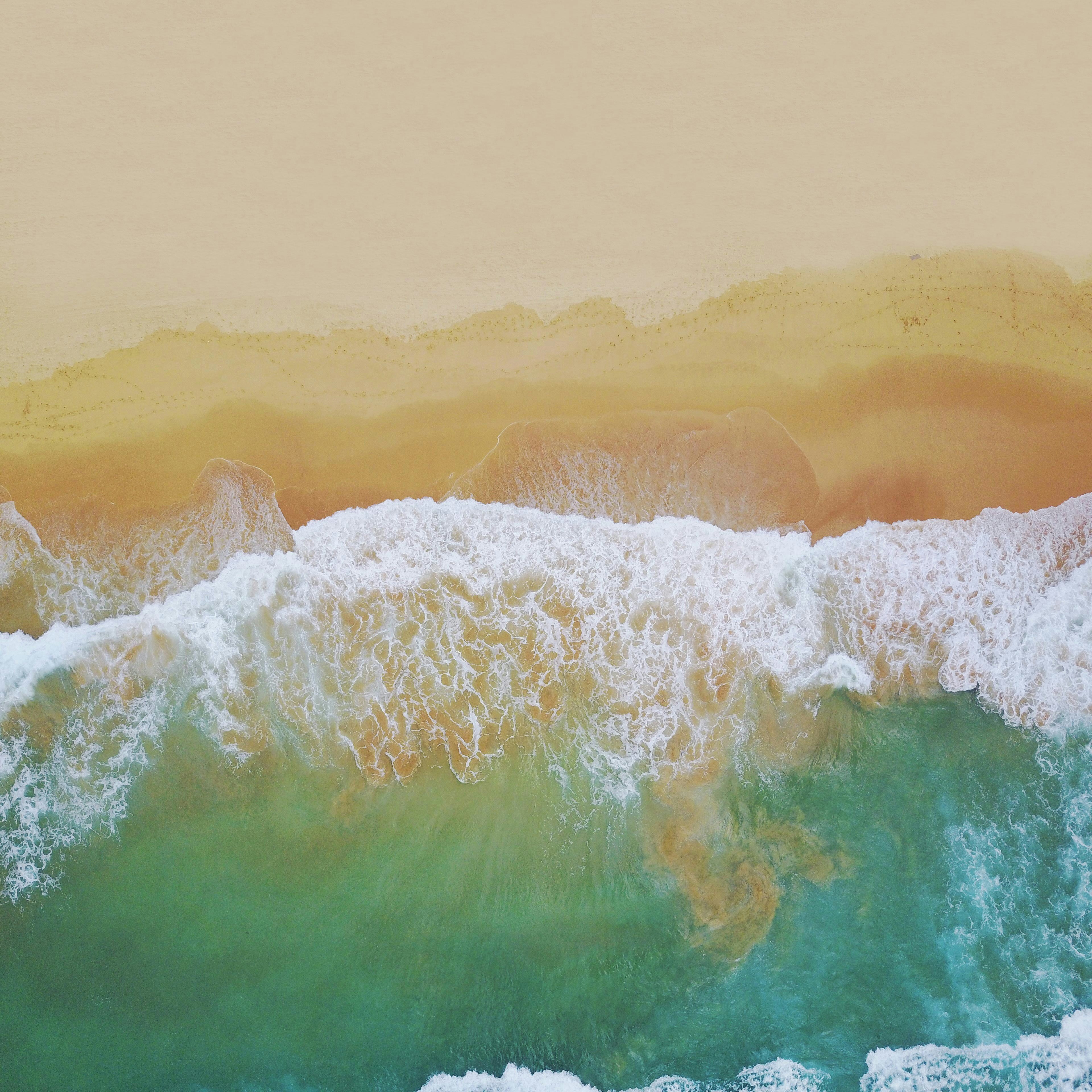 Photo by krazziegrim