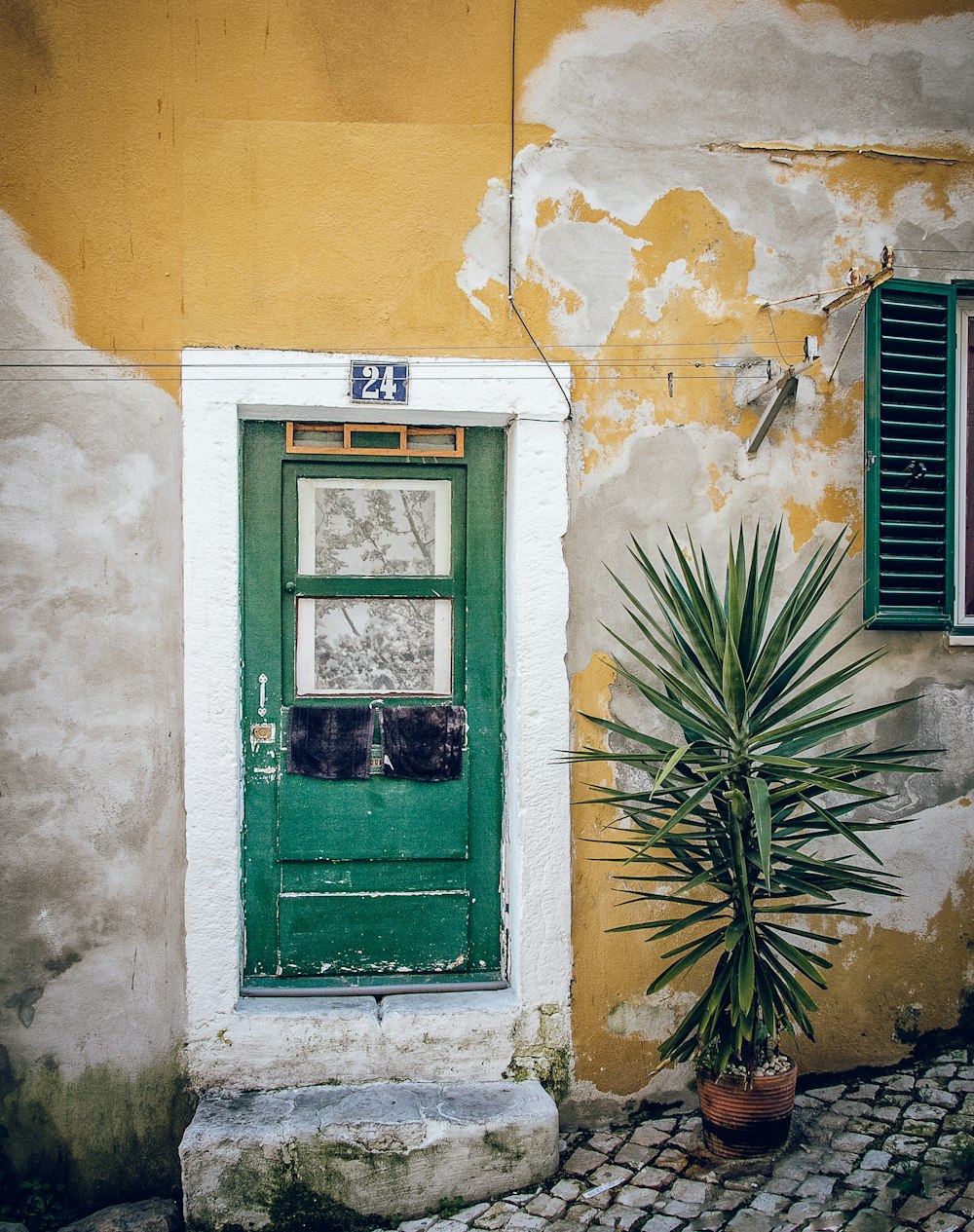 green wooden window on yellow concrete wall