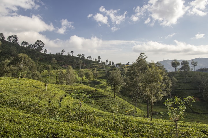 5 Awesome Things to Do in Hatton - Sri Lanka