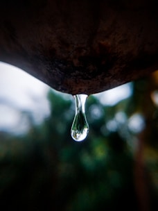 water drop on brown rock