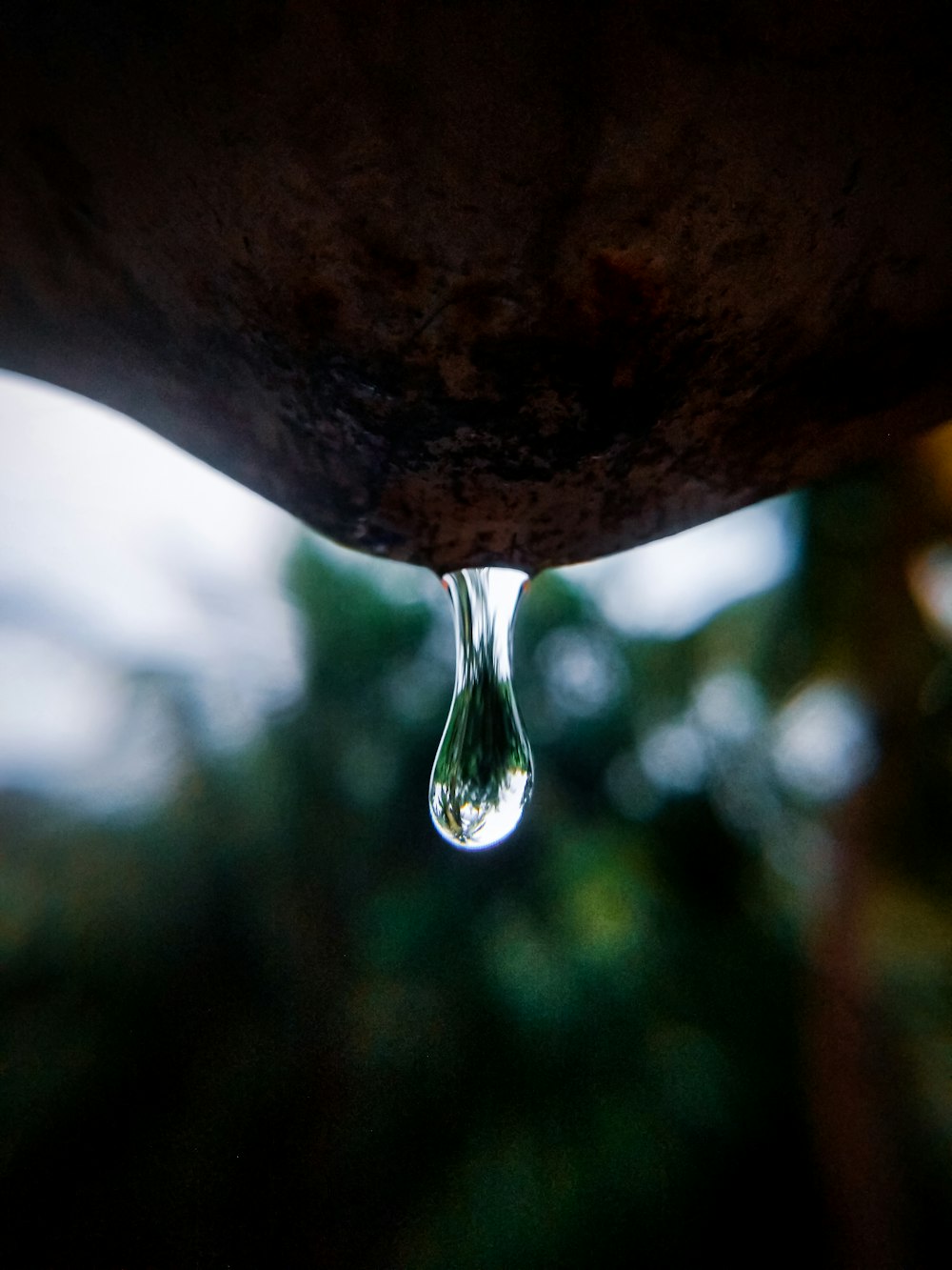 water drop on brown rock