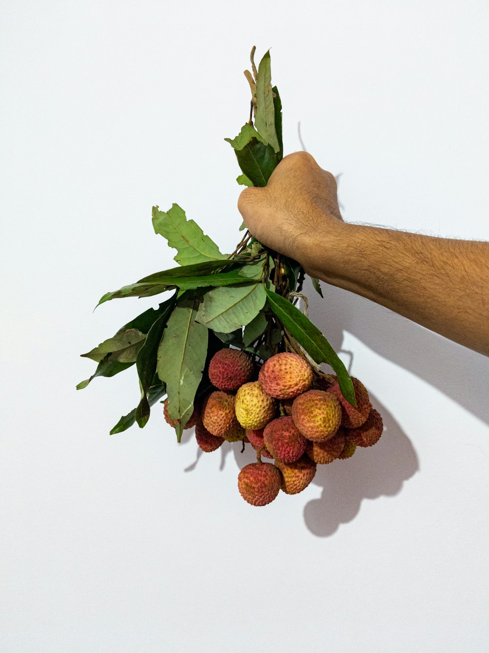 braunes Holzstäbchen mit roten Erdbeeren