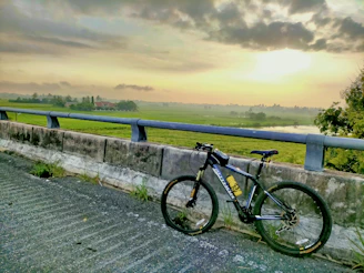 A serene view of a vintage bicycle resting against a weathered wooden fence overlooking the calm waters of the Po Delta at golden hour.
