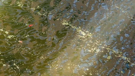 Rippling water with patches of sunlight reflecting off the surface, creating a blend of green and brown hues. Small gold and red particles are visible, likely organic material or debris.